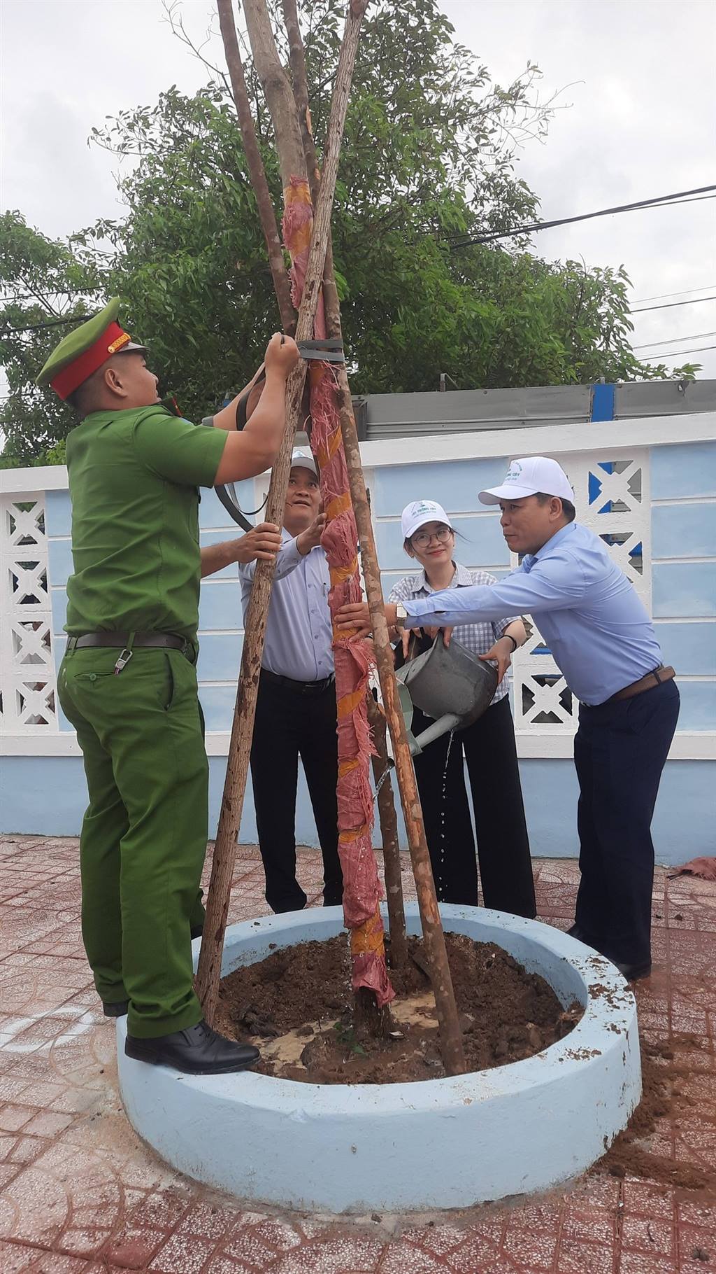 anh tin bai